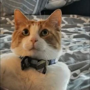 Meet your Posher, Debra